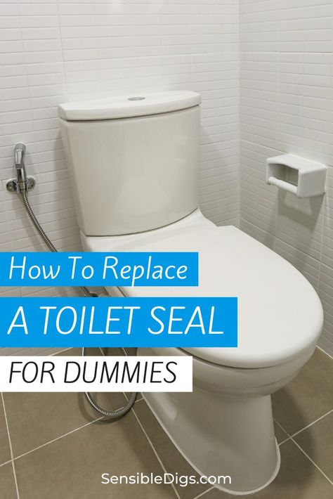 Want to know how to replace your old toilet seal, but lack the skills or confidence? We can help with our easy-to-follow guide. Old Toilet, Replace Toilet, Toilet Design, For Dummies, What To Use, Home Repairs, Bathroom Toilets, Home Ownership, Home Repair