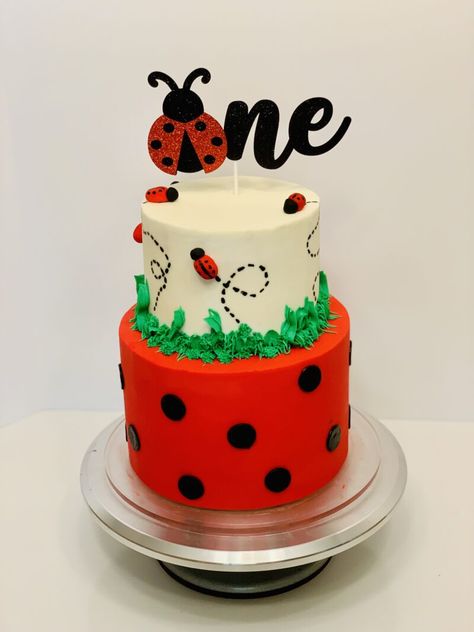 Ladybug Birthday Cake Ideas, Ladybug Birthday Decorations, Ladybug Birthday Cake, Bug Birthday Cakes, Makeup Birthday Cakes, Birthday Cake Images, Ladybug Cakes, Bug Cake, Ladybug Cake