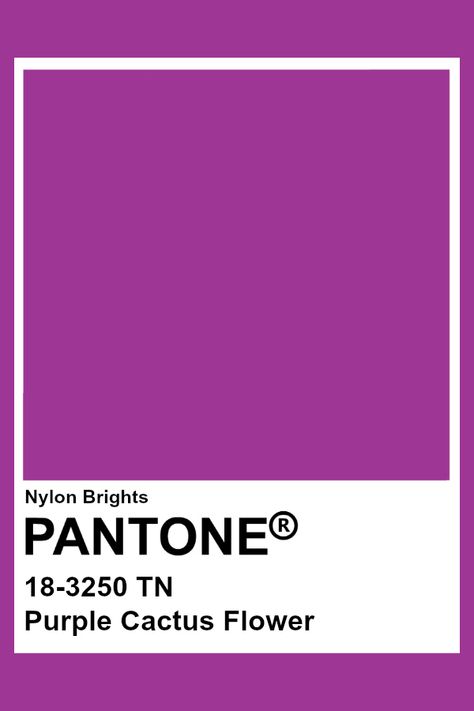 Purple Cactus Flower #Pantone Purple Colour Pantone, Royal Purple Pantone, Purple Pantone Shades, Pantone Colors Purple, Pantone Purple Shades, Pantone Purple, Purple Pantone, Purple Cactus, Pantone Color Chart