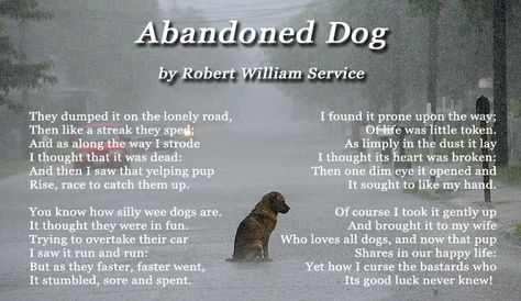 Abandoned Dog Dog Emotions, Dogs Quotes, Dog Poems, Hair Growing Tips, Dog Heaven, Uncommon Words, Angel Cat, Beloved Dog, Dog Memorial