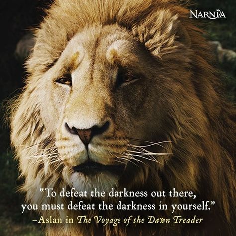 This is the best quote ever! Aslan Quotes, Narnia Quotes, Narnia Movies, Lion Of Judah Jesus, Lion Quotes, Cs Lewis, Stock Quotes, Chronicles Of Narnia, Cats Art