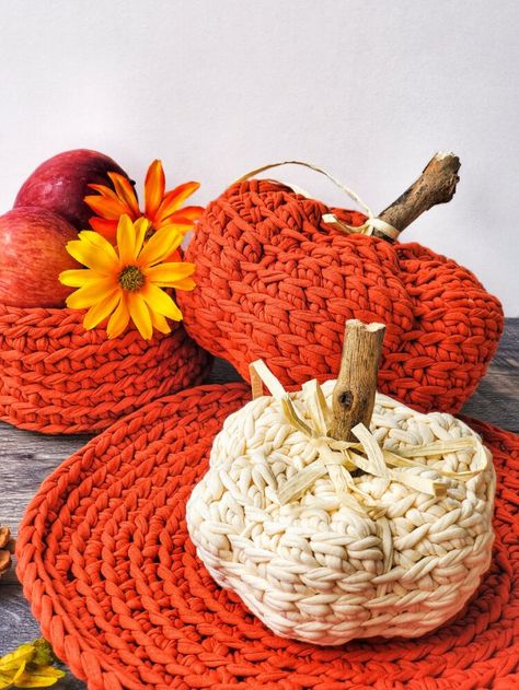 Diy Crochet Basket, Easy Crochet Basket Pattern, Wristlet Patterns, Chunky Yarn Crochet, Pumpkin Crochet, Crochet Beach Bags, Tshirt Yarn, Crochet Placemats, Fall Crochet Patterns