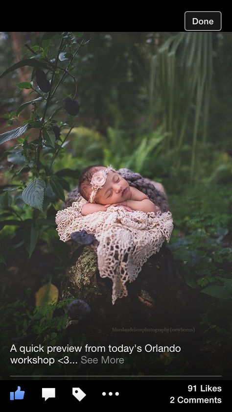 . Garden Newborn Photography, Woodland Newborn Photography, Fairy Newborn Photography, Rabbit Branding, Dandelion Photography, Outdoor Newborn Photography, Faerie Realm, Newborn Photography Tips, Children Portraits