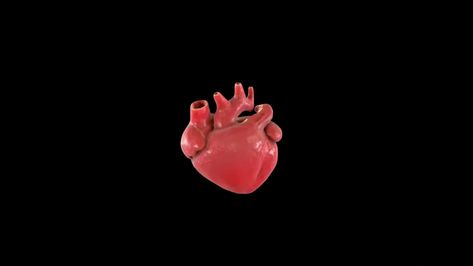 The Human Heart, Heart Pumping, Heart Pump, Human Heart, Free Stock Video, 3d Animation, Stock Footage, Black Background, Stock Video