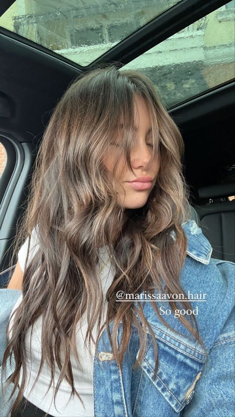 Low Light Inspo Hair, Matilda Djerf Hair Inspiration, Choppy Layers With Face Framing, Layered Brunette Haircut, Medium Brown Hair With Money Piece And Highlights, Brunette With Light Front Pieces, Dark Under Layer Hair Color, Light Brunette All Over Color, Hairspo Brown