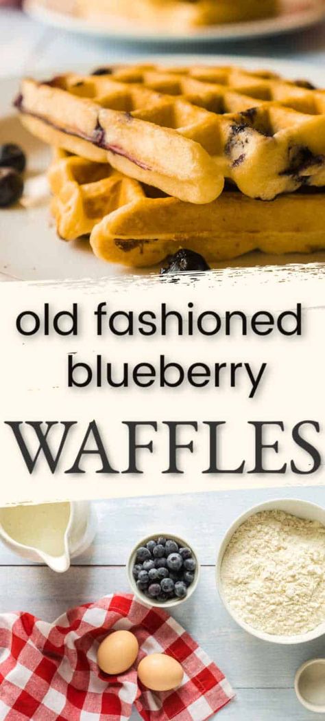 Blueberry Waffle, Buttermilk Blueberry, Waffle Batter, Buttermilk Waffles, Blueberry Waffles, Special Breakfast, Healthy Brunch Recipes, Waffles Easy, Waffles Maker