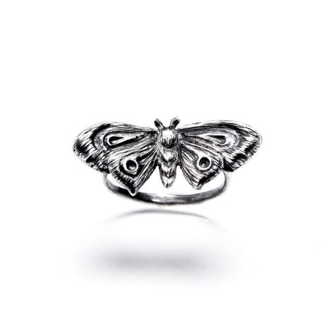 Moth Ring, Remove Bg, Face Brightening, Dope Jewelry, Funky Jewelry, Dream Jewelry, Jewelry Inspo, Pretty Jewellery, Piercing Jewelry