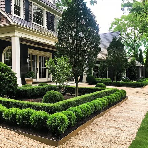 Boxwood Hydrangea Front Yard, Boxwood Lined Front Walkway, Layered Hedges Front Yards, Round Boxwoods In Front Of House, Modern Boxwood Landscaping, Formal Garden Front Yard, Front Yard Landscaping Houston Texas, Box Shrubs In Front Of House, Boxwood And Roses Landscaping