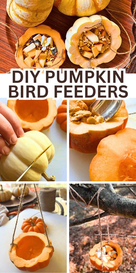 Fall Bird Feeder Craft, Mini Pumpkin Crafts, Pumpkin Bird Feeder For Kids, Pumpkin Bird Feeder, Peanut Butter Pinecone Bird Feeder, Pinecone Bird Feeder Kids, Nut Free Bird Feeder For Kids, Bird Feeder From Recycled Materials, Pumpkin Guts