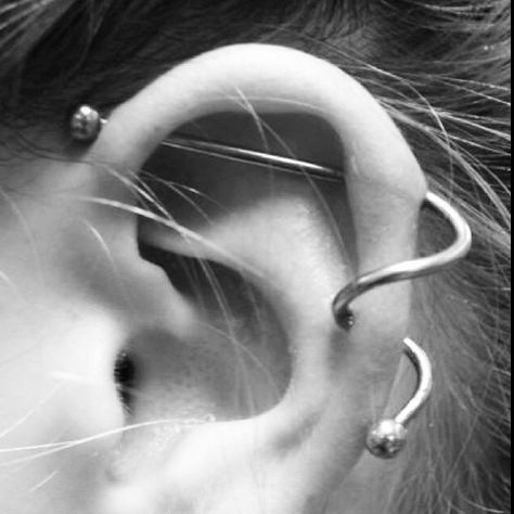 Industrial And Helix Piercing Together, Unconventional Piercings, Dainty Industrial Piercing, Piercing Ear Cartilage, Ear Project, Scaffolding Piercing, Pretty Piercings, Ear Stretching, Piercing Inspo