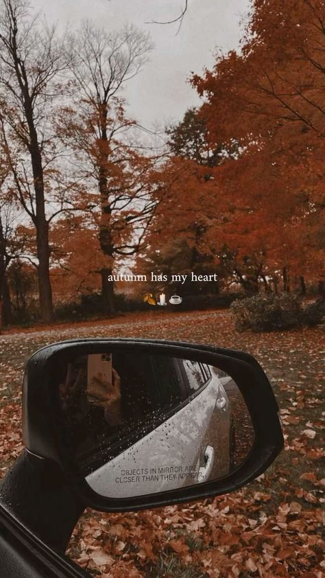 pri ◠ autumn’s mum 🍂 (@autumns.mum) • Instagram photos and videos Aesthetic Autumn Pics, Autumn Story Ideas, Fall Aesthetic Instagram Story, Cozy Instagram Stories, Autumn Ig Story, Fall Story Instagram, Autumn Story Instagram, Autumn Leaves Song, Fall Instagram Stories