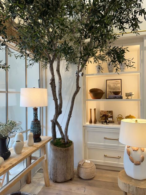 Indoor Olive Tree, Tree Interior, Indoor Tree, Faux Olive Tree, Living Room Plants, Indoor Trees, Interior Plants, Potted Trees, House Plants Decor