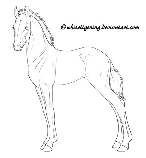 Free Horse Lineart: Foal 2 by https://www.deviantart.com/whiteligtning on @DeviantArt Horse Drawing Template, Horse Foal Drawing, Horse Base Drawing, Horse Outline Drawing, Foal Drawing, Cardboard Horses, Horse Stretches, Horse Reality, Horse Line Art