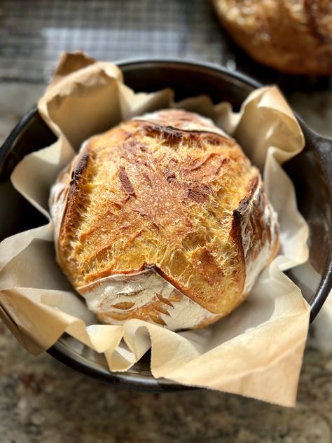 Pumpkin Sourdough Artisan Bread Dutch Oven Sourdough Bread Recipe, Rustic Sourdough Bread Recipe, Sourdough Artisan Bread, Pumpkin Sourdough, Recipe Using Sourdough Starter, Whole Wheat Sourdough, Sourdough Starter Discard Recipe, Homemade Pumpkin Puree, Baking Items