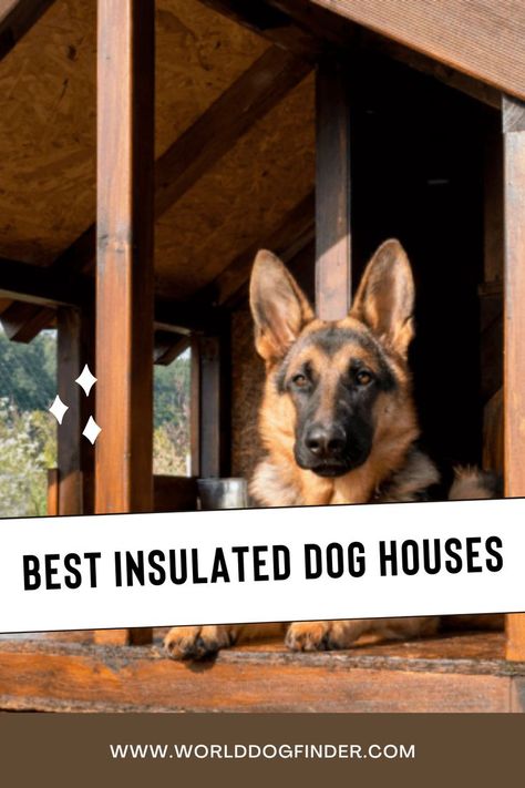 Most dog owners these days prefer having their dogs with them inside the house. However, when that is not possible, and the dog has to stay outside, you want to provide them with the best possible shelter - an insulated or heated dog house. This is extremely important for dogs that live outdoors in cold environments where warmth and shelter are a necessity. Heated Dog House, Outside Dog Houses, Kennel Diy, Insulated Dog House, Diy Dog Kennel, Outdoor Dog House, Outside Dogs, Cool Dog Houses, Outdoor Shelters