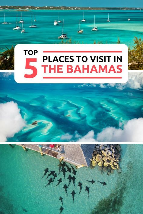 Where to go in the Bahamas? Best place to go in the Bahamas? Read our Bahamas Travel Guide to the top 5 places to visit in Bahamas. With amazing Bahamas Landmarks and Bahamas Tourist Attractions. Our top 5 things to do in Bahamas include the Best Beaches, Bahamas Pigs, Exuma and Staniel Cay. For the best Bahamas Honeymoon consider a Bahamas Day Trip or Island hopping tour from Florida with Bahamas Air Tours. Bahamas Eleuthera, Bahamas Pigs, Bahamas Travel Guide, Bahamas Honeymoon, Exuma Bahamas, Atlantis Bahamas, Bahamas Travel, Historic Landmarks, Bahamas Vacation