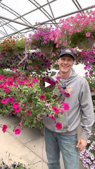 Back From The Brink, Hanging Basket, Back To Life, Greenhouses, Hi Everyone, Flower Basket, Hanging Baskets, Bring It On, Flowers