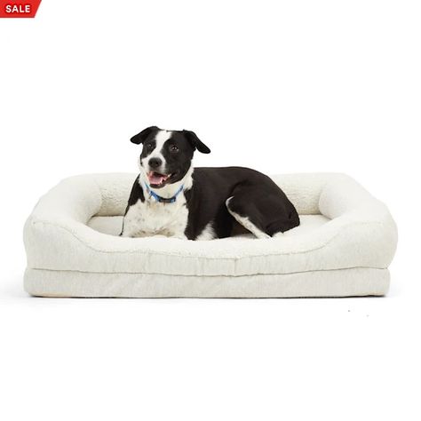 Discover great products at the best prices at Dealmoon. EveryYay Snooze Fest Orthopedic Cuddler Dog Bed, 40" L X 30" W | Petco. Price:$79.99 at PETCO.com Comfy Dog Bed, Sweetest Dreams, Medium Dog Bed, Rest Up, Outdoor Beds, Orthopedic Dog Bed, Bead Storage, Healthy Pets, Comfy Bed