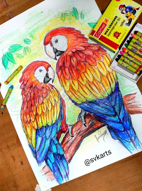 Wax Crayons Drawing, Macaw parrot drawing, Crayons Drawing Ideas, Macaw Parrot Drawing, Wax Crayons Drawing Ideas, Wax Crayon Drawing, Wax Crayon Art, Crayons Drawing, Macaw Art, Parrot Drawing, Crayon Drawing