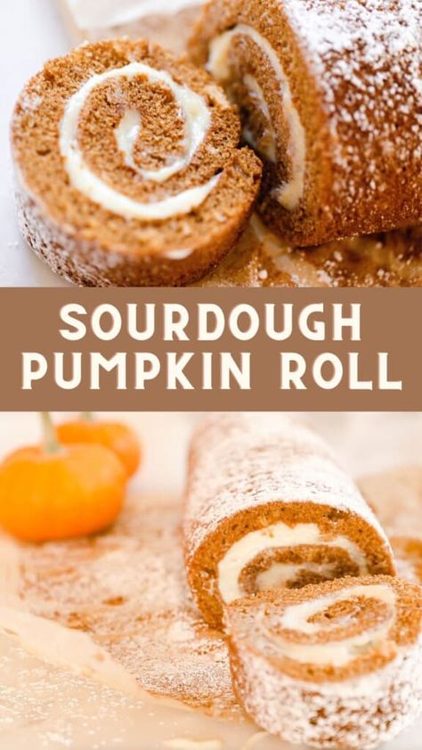 This sourdough pumpkin roll pairs fluffy, sweet, spiced sourdough cake with a delicious, cream cheese filling. Literally, the best fall treat. #farmhouseonboone #sourdough #sourdoughpumpkinroll #pumpkinroll Sourdough Discard Pumpkin, Sourdough Cake, Pumpkin Sourdough, Pumpkin Roll Recipe, Sourdough Pumpkin, Pumpkin Rolls, Recipe Using Sourdough Starter, Pumpkin Rolls Recipe, Discard Recipe