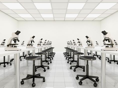 To often, labs follow strict procedures and rules for data collection. It's better to let students simply experiment and focus on ideas. Physics Lab, Panel Light, Edge Lighting, Light Leak, Tube Light, Kitchen Pendants, Light Bright, Modern Vanity, Farmhouse Lighting