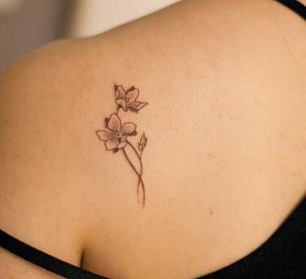 Jasmine Flower Tattoo, Jasmine Tattoo, Botanisches Tattoo, Flower Tat, Tattoos For Women Flowers, Flower Tattoo Sleeve, Tattoo Desings, Jasmine Flower, Tattoo Outline