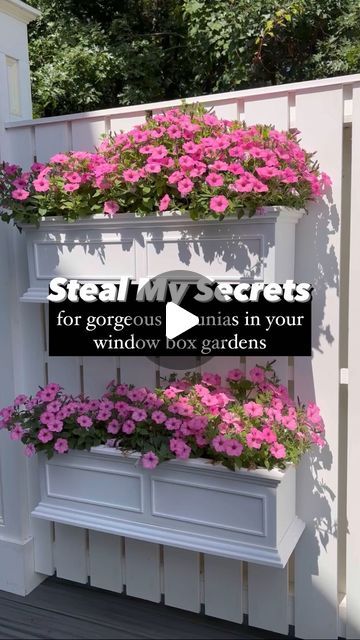 Mary Ann Beaudry on Instagram: "7️⃣ Secrets Here👇🏻 . 🤫 My secrets to growing amazing window boxes. . 🌿 SEVEN steps for successful window boxes. . 1️⃣ Fantastic window box: . 🪴 This is Veradeks window box from their Brixton Series. 36’ long, 11” wide, 11” high.  Veradeks window boxes are versatile. Hang them on a deck rail, under a window, or on a privacy fence. . 🌿 It comes with an insert bucket! Using the insert bucket you don't have to completely fill your planter with potting soil.  It comes in 3 colors: white, black & gray. . 2️⃣ Coffee filters: . 🪴 Add a coffee filter to each drainage hole to prevent water from flushing out. . 3️⃣ Fresh Potting Soil: . 🪴 Fill your window boxes with FRESH potting soil. I love Miracle Gro!!  . 4️⃣ Osmocote: . 🌸 Osmocote is a slow release fertil Planter Box Under Window, Tulip Window Boxes, Flowerbox Ideas, Railing Planter Boxes, White Window Boxes, Window Boxes Diy, Window Box Plants, Window Box Garden, Boxes Diy