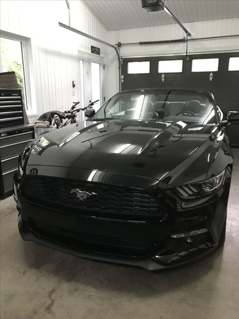 Fast Back Mustang, Classy Cars For Women Black, All Black Mustang, Blacked Out Mustang, Adeline Riley, H D Carlton, Hunting Adeline, Aesthetic Man, Man Aesthetic