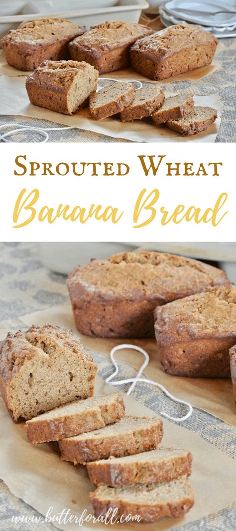 Sprouted Grain Bread Recipe, Homemade Bread Buns, Sprouted Wheat Bread, Wheat Flour Recipes, Sprouted Wheat, Sprouted Grain Bread, Flours Banana Bread, Sprouted Grains, Wheat Recipes