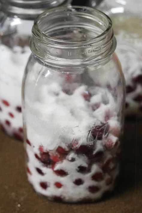 Canning Cranberry Juice - Easy Recipe With Whole Cranberries - Homesteading in Ohio Canning Cranberry Juice Recipes, Canned Cranberry Juice, Canning Cranberry Juice, Canning Cranberry, Cranberry Grape Juice, Cooking Cranberries, Canning Rack, Canned Cranberries, Canned Juice