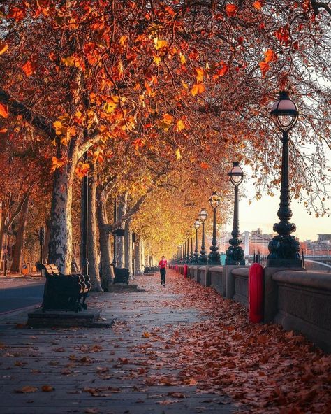 Autumn London, London In October, Secret London, London Kensington, Kensington And Chelsea, Golden Autumn, London Aesthetic, Chelsea London, Visiting England