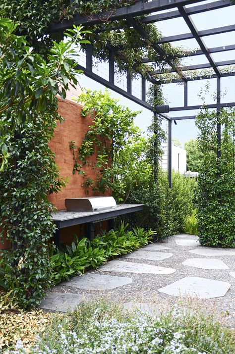 Chinese Star, Star Jasmine, Garden Architecture, Garden Oasis, City Garden, Pergola Designs, Courtyard Garden, Terrace Garden, Private Garden