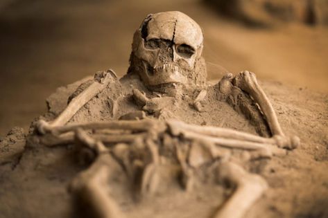 13 of the Weirdest Discoveries Archaeologists Have Made #history #science Irish Island, Homo Habilis, Irish Ancestry, Pet Cemetery, Ancient Celts, Terracotta Warriors, Life Size Statues, Archaeological Discoveries, Irish History