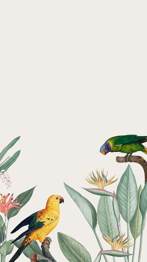 Bird Wallpaper Iphone, Wallpaper Living Room Accent Wall, Spring Iphone Wallpaper, Graphic Design Portfolio Book, Yellow Parrot, Parrot Wallpaper, Camels Art, Iphone Wallpaper Yellow, Cute Images For Wallpaper