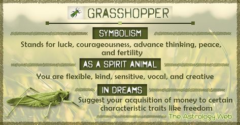 Grasshopper Meaning and Symbolism | The Astrology Web Grasshopper Spirit Animal Meaning, Grasshopper Tattoo Meaning, Grasshopper Symbolism, Grasshopper Meaning, Patience Tattoo, Animal Totem Spirit Guides, Spiritual Animals, Spirit Animal Quiz, Manifesting Magic