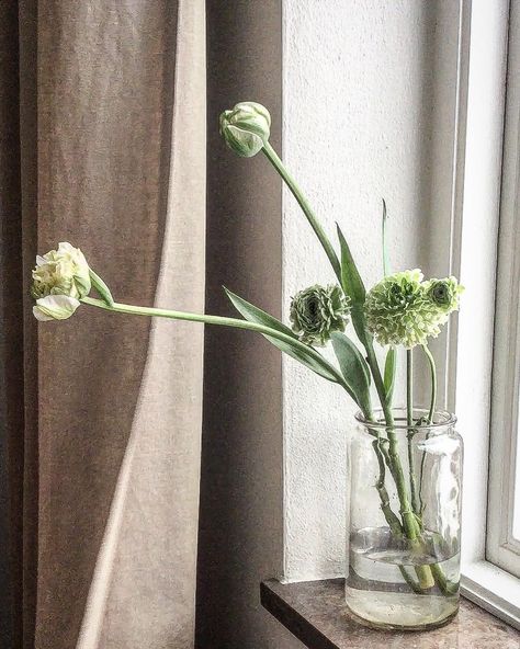 🌱💭 #franska #tulpaner #french #tulips #frenchtulips #ranunkler #franskatulpaner #flowers #love #white #green #interiordesign #interiores… French Tulips, Tulips, Curtains, Flowers, Home Decor