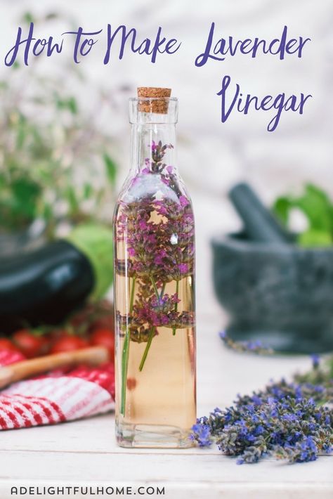 This lavender vinegar recipe is so easy to make and can be used in many different ways such as a hair rinse, skin deodorizer, fabric softener, for cleaning, and more! This herb infusion is so pretty packaged in a glass bottle, and makes a great gift idea. #diycleaner #naturalcleaner #diyskincare #naturalskincare Lavendar Plant, Homemade Extracts, Infused Vinegars, Lavender Recipes, Mountain Rose Herbs, Kitchen Witchery, All Purpose Cleaner, Cleaner Recipes, Hair Rinse