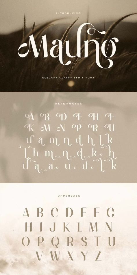 Feminine Fonts Alphabet, Romantic Serif Fonts, Font Logo Ideas, Natural Fonts Typography, Classy Fonts Alphabet, Elegant Font Logo, Flowy Typography, Flowy Fonts, Elegant Fonts Alphabet