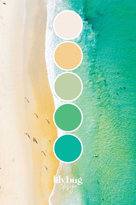 Summertime Color Palette, Sea Pallette, Refreshing Color Palette, Sea Colour Palette, Lilybug Design, Zen Color Palette, Sea Color Palette, Sea Palette, Beach Color Palette