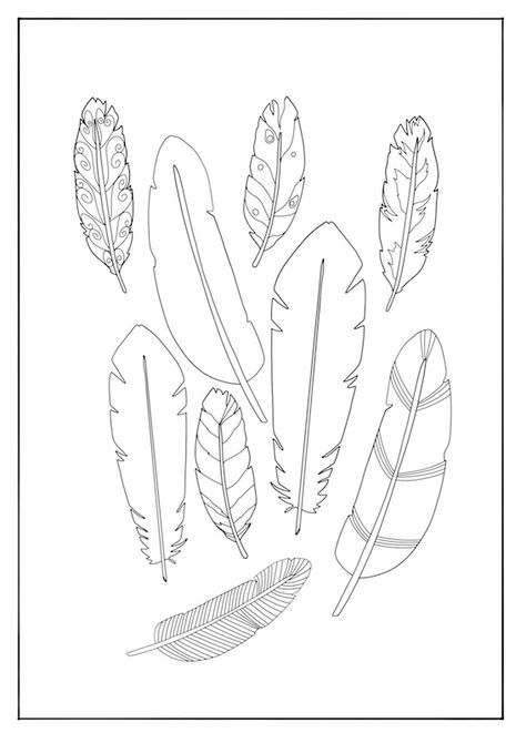 How To Draw Feathers Step By Step, Drawing Feathers Step By Step, Drawings Of Feathers, Printable Feathers Free, Feather Printable Templates, Feather Template Printable Free, Feather Coloring Pages, Feather Outline Drawing, Doodle Feathers Simple