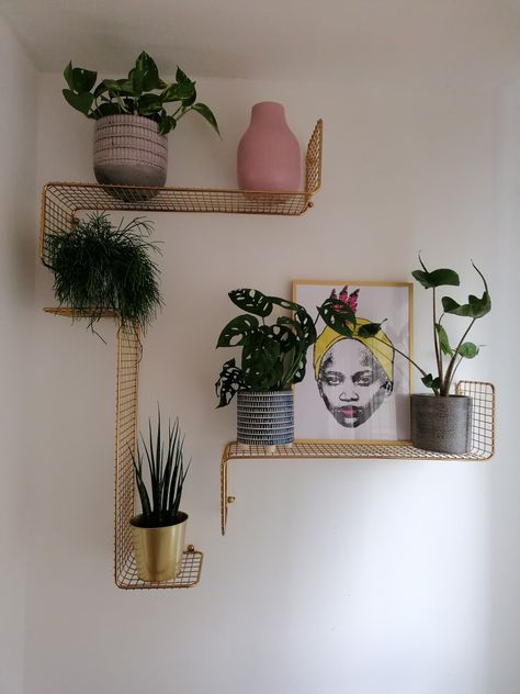 Gold SVENSHULT ikea shelves with plants and print 🌿 @plantmadsisters Ikea Gold, Ikea Svenshult, Svenshult Ikea Ideas, Ikea Wall Decor Ideas, Gold Wall Shelves, Ikea Wall Shelves Bedroom, Svenshult Ikea Ideas Wall Shelves, Ikea Shelf Plants, Ikea Shelf Decor