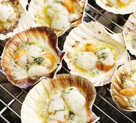 Roasted Scallops in the Half Shell with Lemon Caper Butter                                                 So simple and utterly delciious. Choose the freshest scallops and remove the tough little hinge on the side of each one before cooking. Caper Butter, Fresh Scallops, How To Cook Scallops, Grilled Scallops, Scallop Recipes, Quick And Easy Recipes, Butter Recipe, Fish Dishes, Bbq Recipes