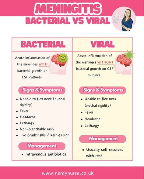 Lauren - Nursing made easy on Instagram: "Bacterial vs viral meningitis   Dive deeper with our nursing study guide   #nursingclinicals #nurseuk #pathophysiology #pathophysiologyofdisease #traineenurseassociate #nursingstudentsofinstagram #studentnursestudytips #studentnurses #studentnurseproblems #futurenurses #nursingresources #nurseintraining #nurseinprogress #nursetobe #adultnursing #nursingassociates #traineenursingassociates #traineenurseassociate #traineenursingassociate #studentnursestruggles #studentpaediatricnurse #studentparamedicsuk #studynursing #studentnurseuk #studentnurse #nursingnotes #nursingstudent #studentnursesofinstagram #studentparamedic #studentnurse #nerdynurseuk" Nursing Neuro, Pathophysiology Nursing Genetics, Pathophysiology Nursing Immunity, Disease Processes Nursing, Neurological Assessment Nursing, Advanced Pathophysiology Fnp, Neurology Nursing, Pathophysiology Nursing, Nerdy Nurse