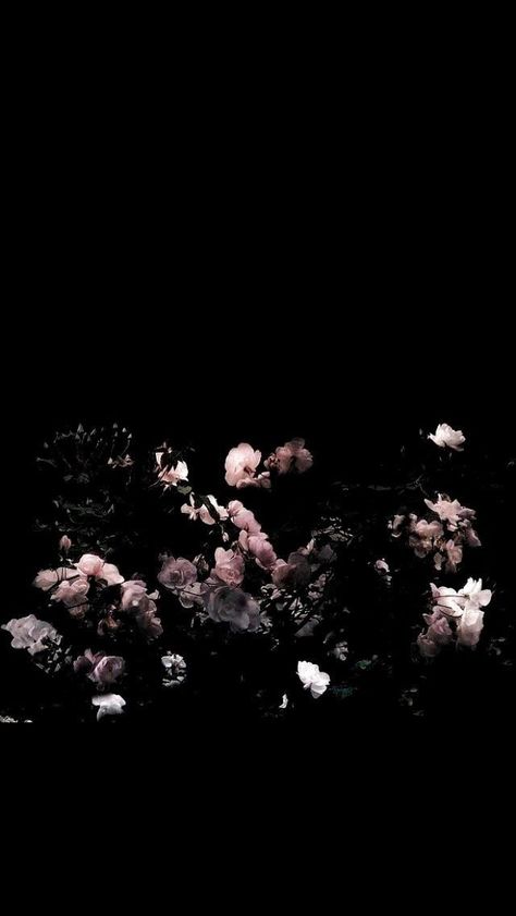 Dark Flower Aesthetic Wallpaper, Dark Flower Aesthetic, Flower Aesthetic Wallpaper, Best Friend Sketches, Cool Black Wallpaper, Most Pinned, Friends Sketch, Pink Wallpaper Backgrounds, Wallpaper Iphone Summer