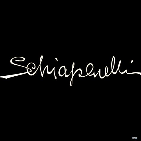 Schiaparelli Logo, Persian Art Painting, Persian Art, Italian Fashion Designers, Visual Design, Design Tutorials, Fonts Design, Persian, Mood Board