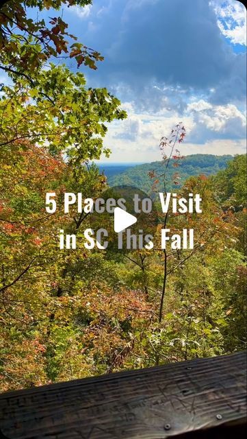 Discover South Carolina on Instagram: "🍁 Some of our favorite spots in the Palmetto State during fall! 🥰 #DiscoverSC" Palmetto State, Day Trips, South Carolina, Places To Go, Travel Tips, Bucket List, Places To Visit, Travel, On Instagram