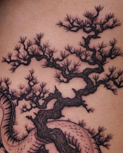 Asian Tree Tattoo, Back Cybersigilism Tattoo, Japanese Pine Tree Tattoo, Chinese Tree Tattoo, Japanese Maple Tree Tattoo, Japanese Tree Tattoo, Bonsai Tree Drawing, Tree Tattoos For Women, Bonsai Tree Tattoo