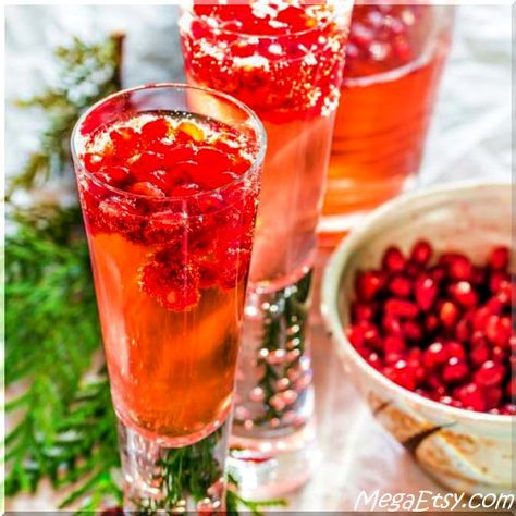 Pomegranate Elderflower Spritzers – A sparkling and refreshing cocktail that’s perfect to kick start any holiday celebration. Pomegranate Cocktail Recipes, Poinsettia Cocktail, Classy Cocktails, Elderflower Cocktail, Pomegranate Cocktails, New Year's Drinks, New Years Cocktails, Beverage Ideas, Champagne Recipes Cocktails