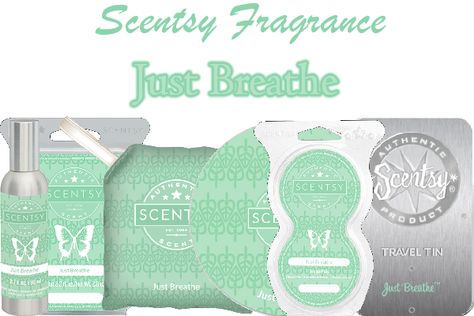 Scentsy Clean, Scentsy Laundry, Selling Scentsy, Clean Products, Scentsy Business, Scentsy Scent, Scentsy Fragrance, Just Breathe, Lemon