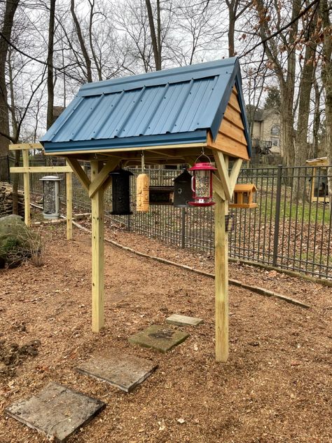 Bird Feeder Shelter, Covered Bird Feeder Station Ideas, Bird Feeding Station Ideas Diy, Aviary Ideas, Bird Feeder Hangers, Bird Feeder Station, Backyard Birds Sanctuary, Backyard Birds Feeders, Backyard Garden Beds